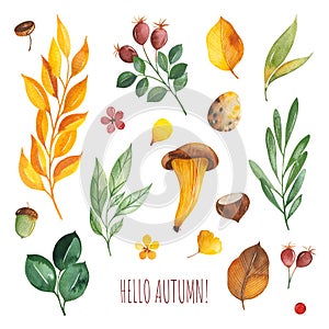 Watercolor Autumn set with leaves,mushrooms,berries,branches,eggs,nuts,acorns