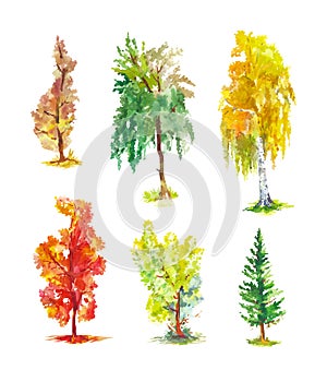Watercolor autumn trees. Set of bright vector sketches of birch, poplar, pine, maple, aspen, etc
