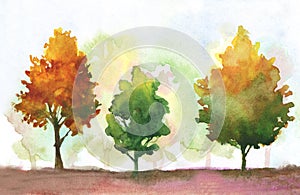 Watercolor autumn trees. fall park theme illustration with orange, yellow, green colors. abstract