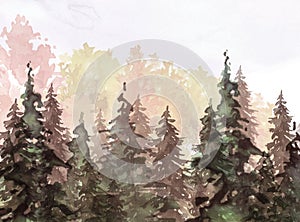 Watercolor autumn trees of yellow, red, orange color.Watercolor group of trees - fir, pine, cedar, fir-tree. green forest, landsca