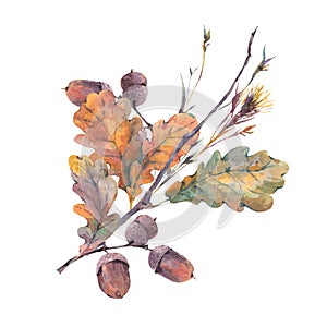 Watercolor autumn vintage bouquet