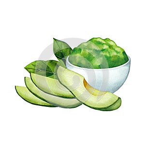 Watercolor avocado fruits and leaves isolated on white background