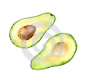 Watercolor avocado on white background. Design element