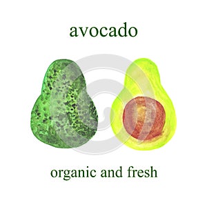 Watercolor avocados - whole and half isolated on a white background