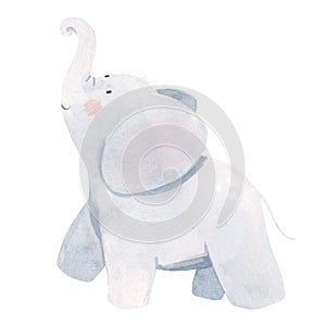 Watercolor baby elephant illustration