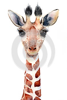 Watercolor baby giraffe`s portrait