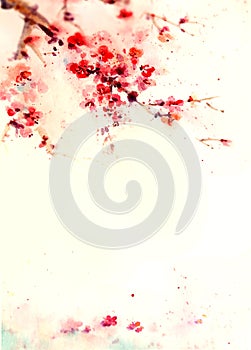 Watercolor background cherry blossom