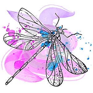 Watercolor background with a dragonfly