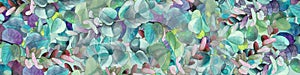 Watercolor background of eucalyptus twigs. Hand drawn bright crisp elements. For prints, publications, labels, wrapping paper