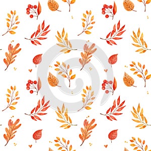 Watercolor background with fall leaves, acorns, berries. Forest design elements. Hello Autumn! Seamless pattern in warm colors.