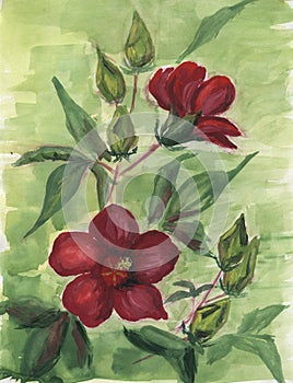 Watercolor background with flowers, well suited for postcards.