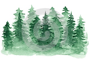 Watercolor background with green coniferous forest photo