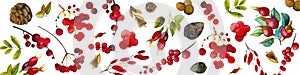 Watercolor background of isolated elements on a white background: rowan berries, ostolist, dog rose, cones, viburnum, leaves and