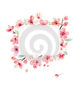 Watercolor background with pink sakura