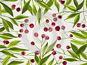 Watercolor background with red berries and green leaves. Hand drawn botanical background for design or print
