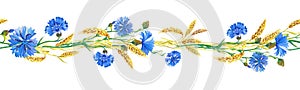 Watercolor banner with cornflowers,ears of ripe wheat. Beautiful bright border with bouquet of blue flowers.