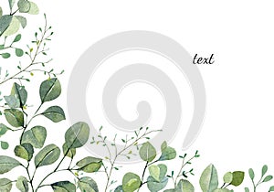 Watercolor banner with hand painted silver dollar eucalyptus and greenery plants. Branches and leaves isolated on white background