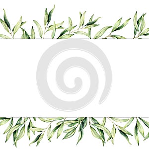 Watercolor banner with olive branch. Hand painted botanical border isolated on white background. Floral illustration for