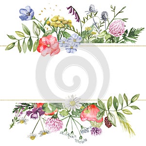 Watercolor banner with wildflowers, herbs, plants, meadow flowers.