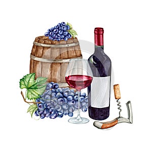 Watercolor barolo wine gourmet set Illustration