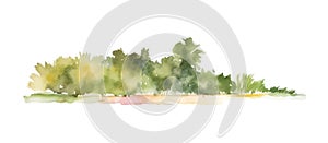 Watercolor beach with forest. Green trees and bushes isolated on white background. Gorizontal bar element, divider