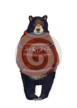 Watercolor bear with sweater