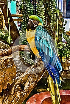 Watercolor of beautiful bird