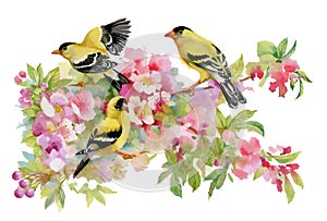 Watercolor beautiful birds sitting on blooming branches.