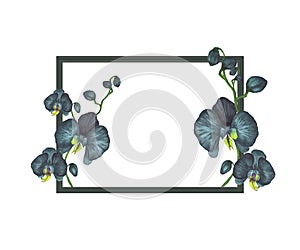 Watercolor beautiful black orchids frame  realistic