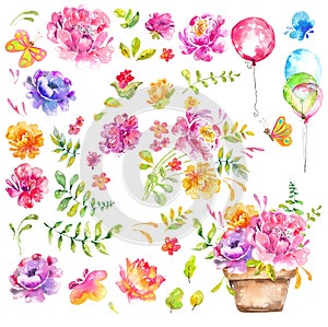 Watercolor beautiful floral design, big collection