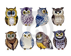 Watercolor beautiful owls on the white background. Animal watercolor silhouette sketch