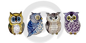 Watercolor beautiful owls on the white background. Animal watercolor silhouette sketch