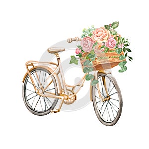 Watercolor beautiful peach pink bicycle and pretty rose flowers in a wooden garden box, isolated. Romantic vintage bike