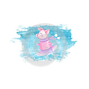 Watercolor beauty skating pig in knitted sweater, tutu and scarf isolated on white background