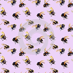 Watercolor bees seamless pattern isolated on white background. hand drawn watercolor illustration