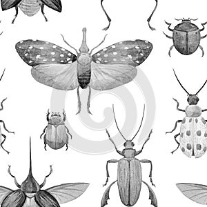 Watercolor beetle pattern