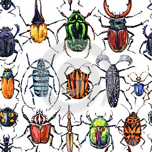 Watercolor beetles seamless pattern.