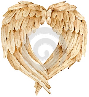 Watercolor beige bird wings isolated on the white background. Angel wings. Valentine's day decoration.