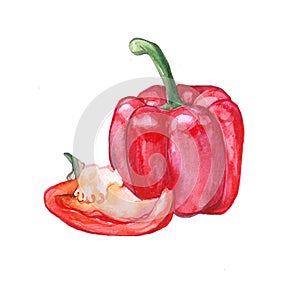 Watercolor Bell pepper paprika on white