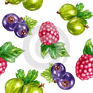 Watercolor berries set with raspberry blueberry gooseberry