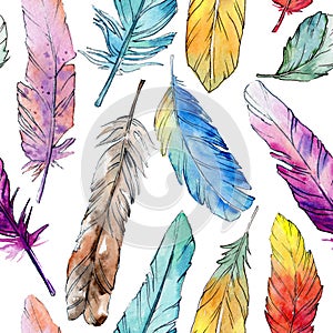 Watercolor bird feather pattern from wing.