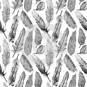 Watercolor bird feather pattern from wing.