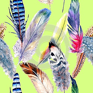 Watercolor bird feather pattern from wing.