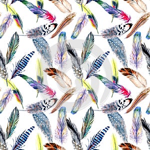 Watercolor bird feather pattern from wing.