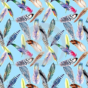 Watercolor bird feather pattern from wing.