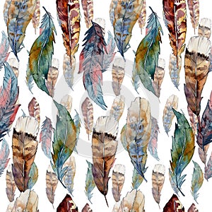 Watercolor bird feather pattern from wing.