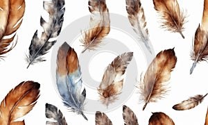 Watercolor bird feather from wing isolated on white background. illustration for design.