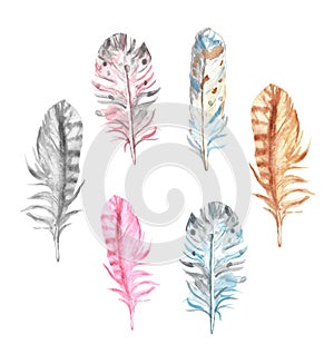 Watercolor bird feathers collection, isolated on white background. Hand drawn decorative exotic colorful decorative elements