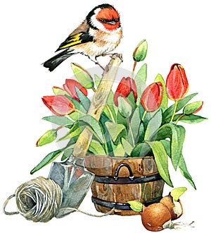 Watercolor Bird and Garden flowers background.