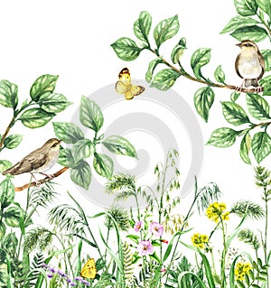 Watercolor Birds and Wildflowers